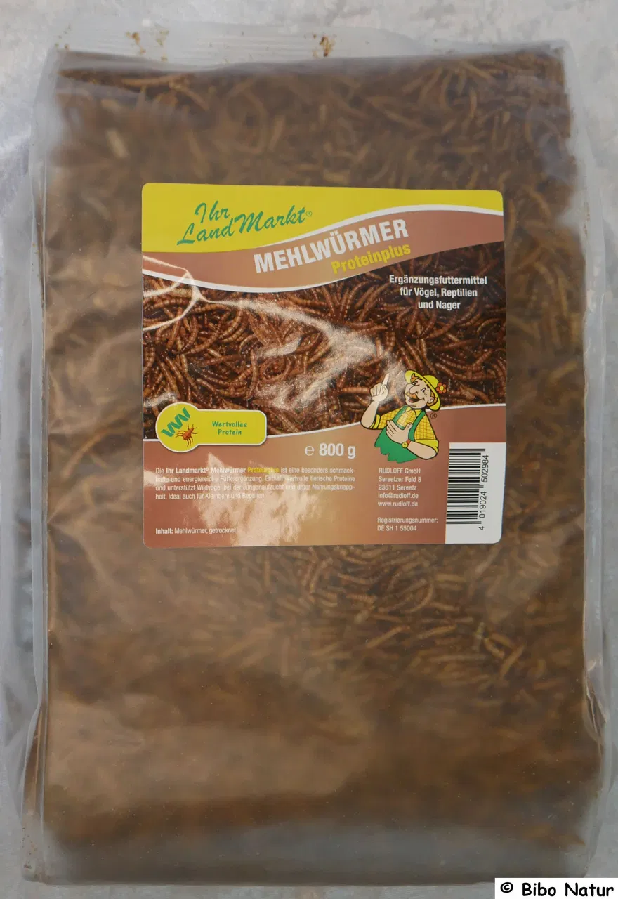 Mehlwürmer, Proteinplus