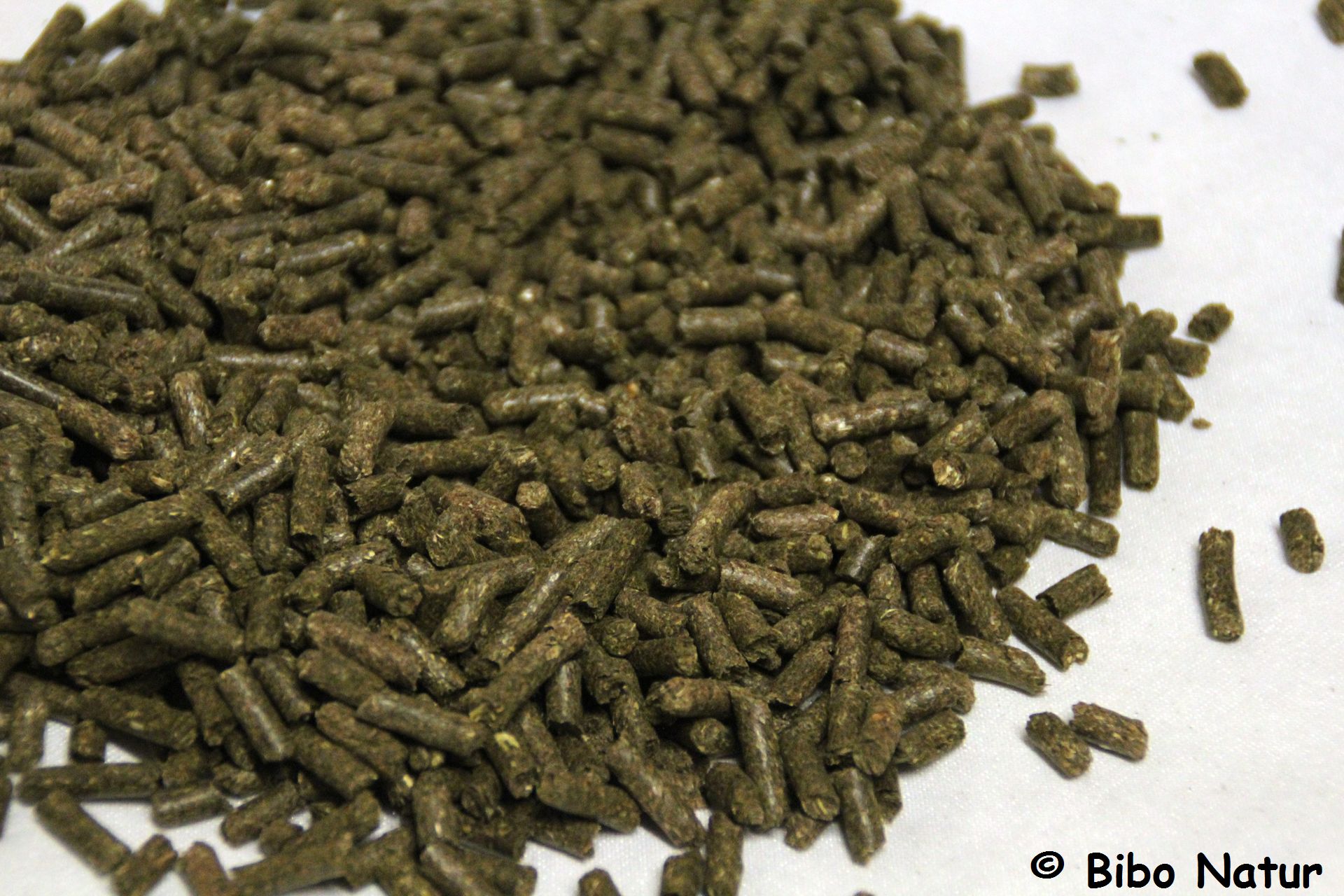 Echinacea-Pellets