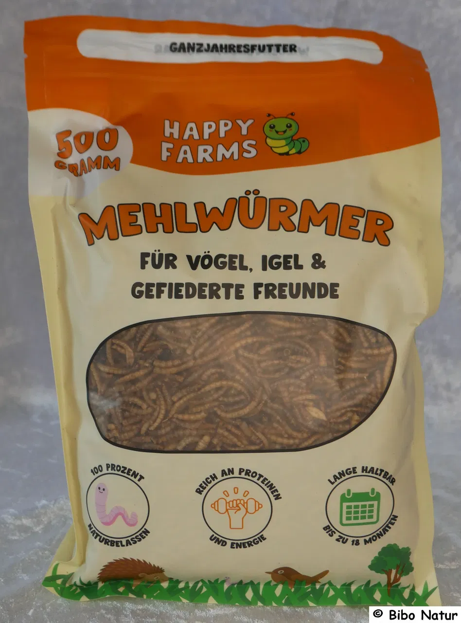 Mehlwürmer