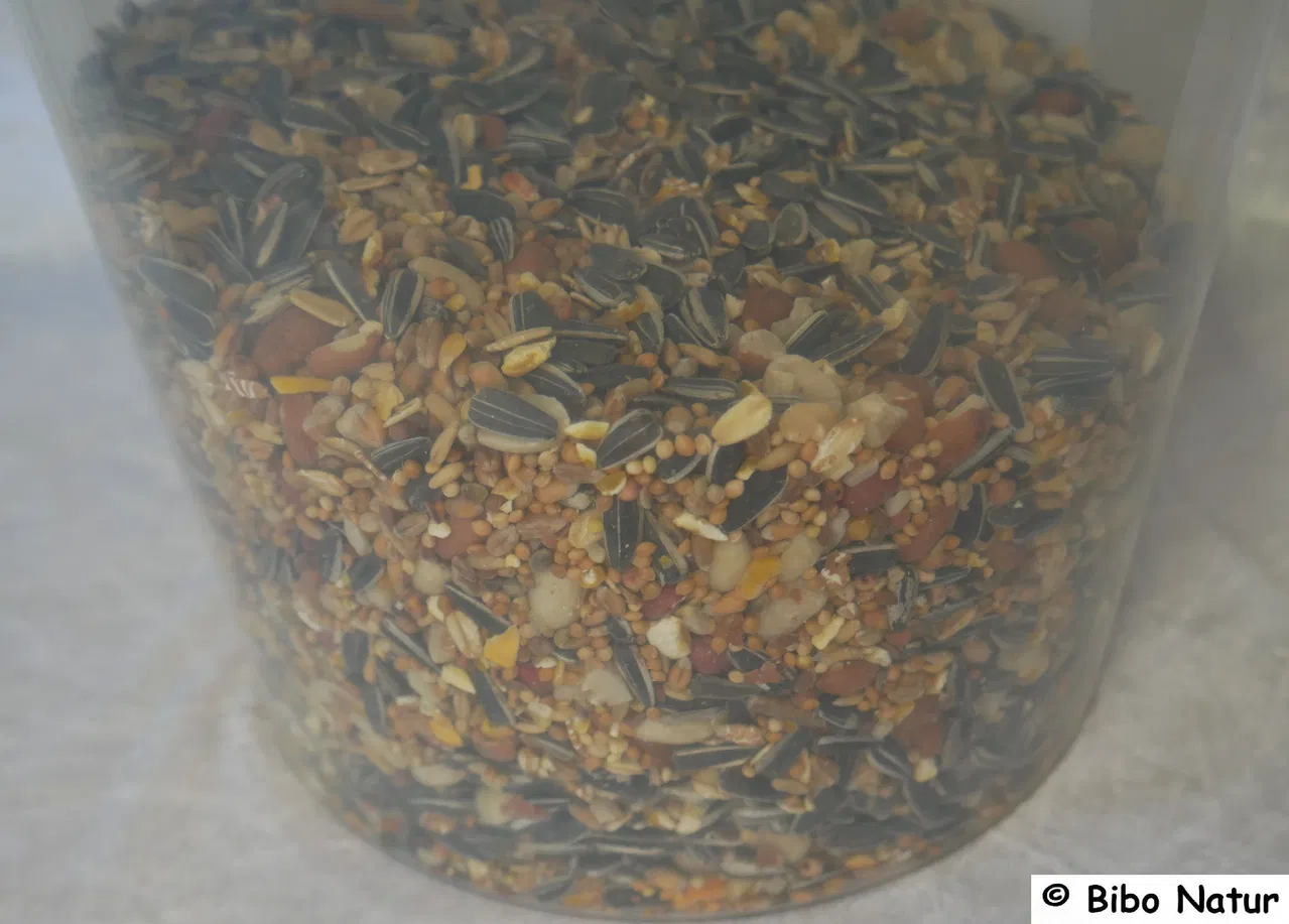 Wintertraum Nuss Royal