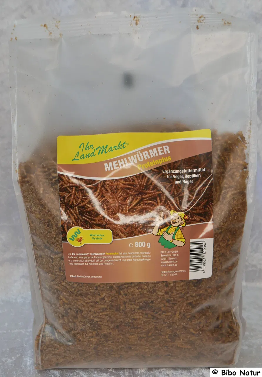 Mehlwürmer, Proteinplus