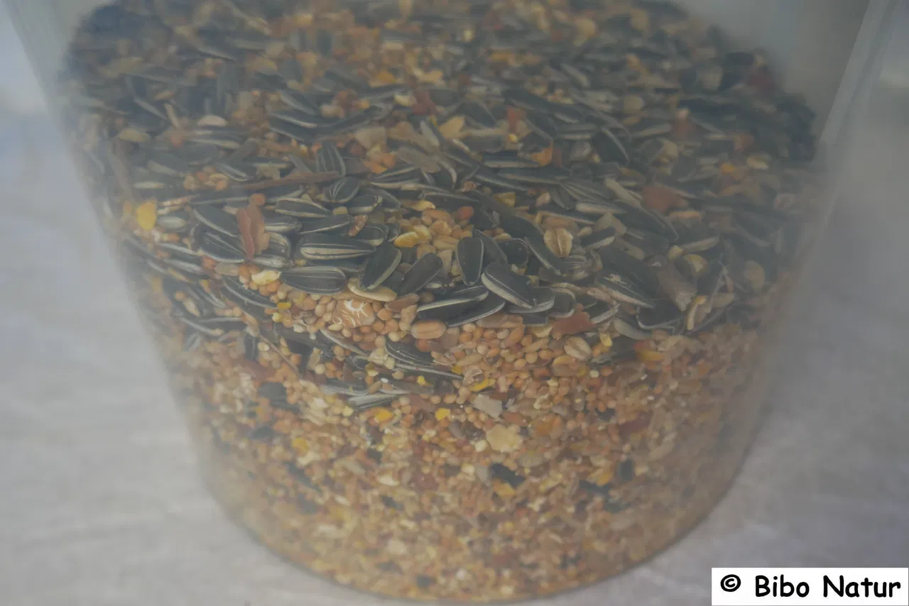 Wintertraum Nuss Royal