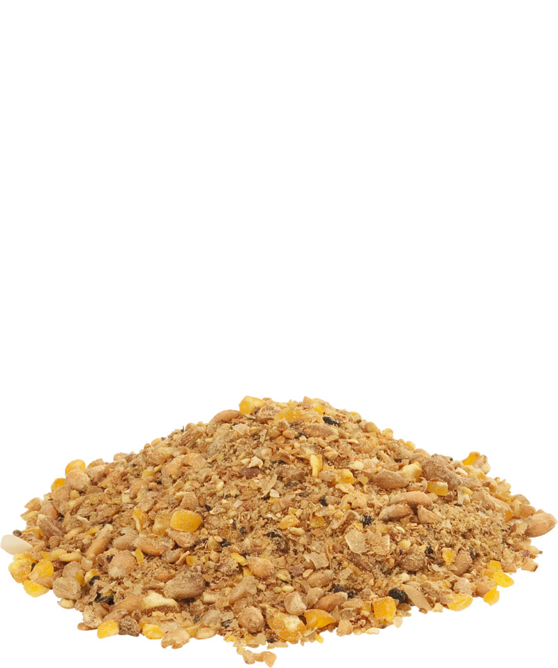 GOLD 4 mash Countrys Best von Versele Laga
