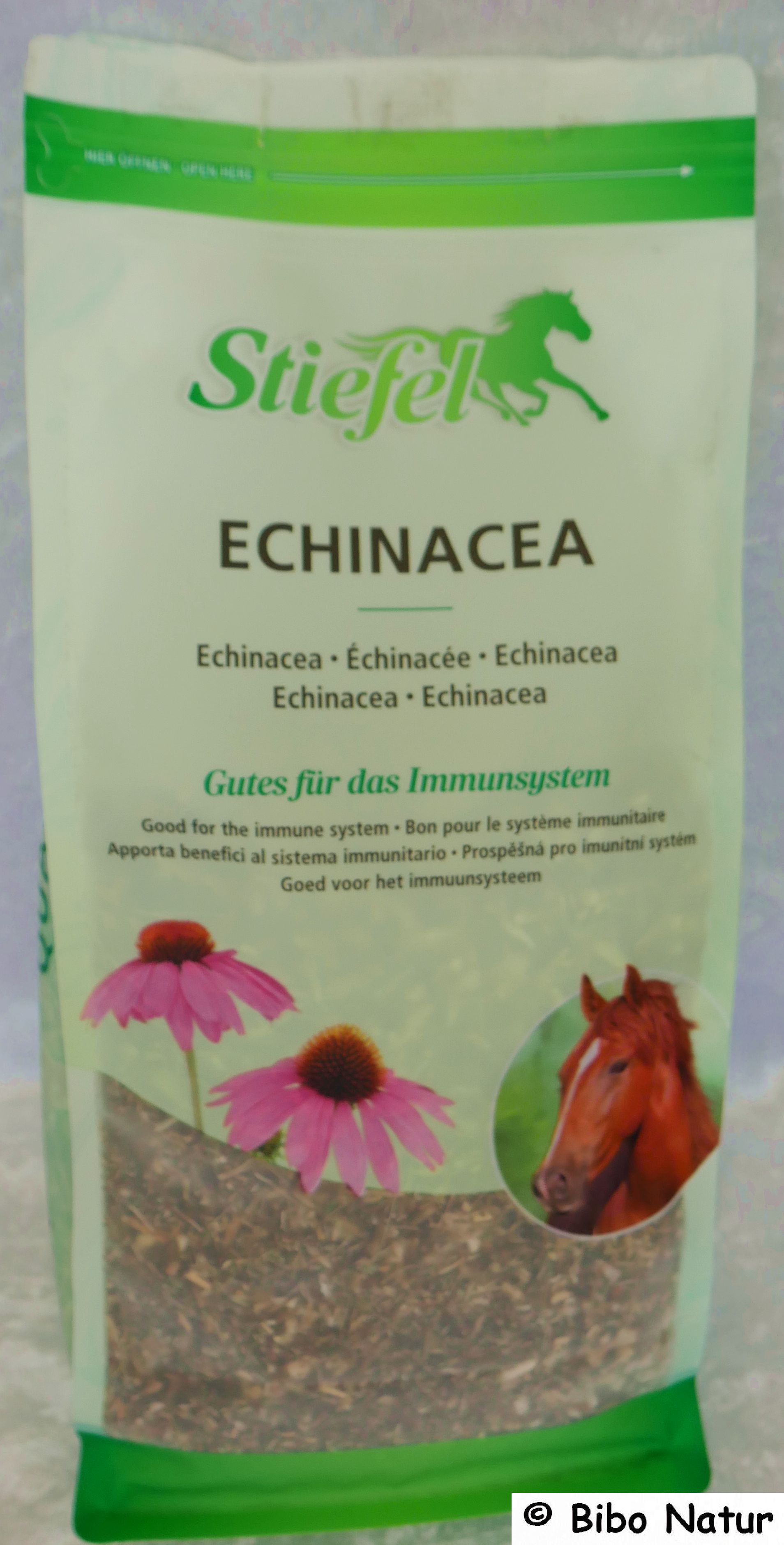 Echinacea geschnitten