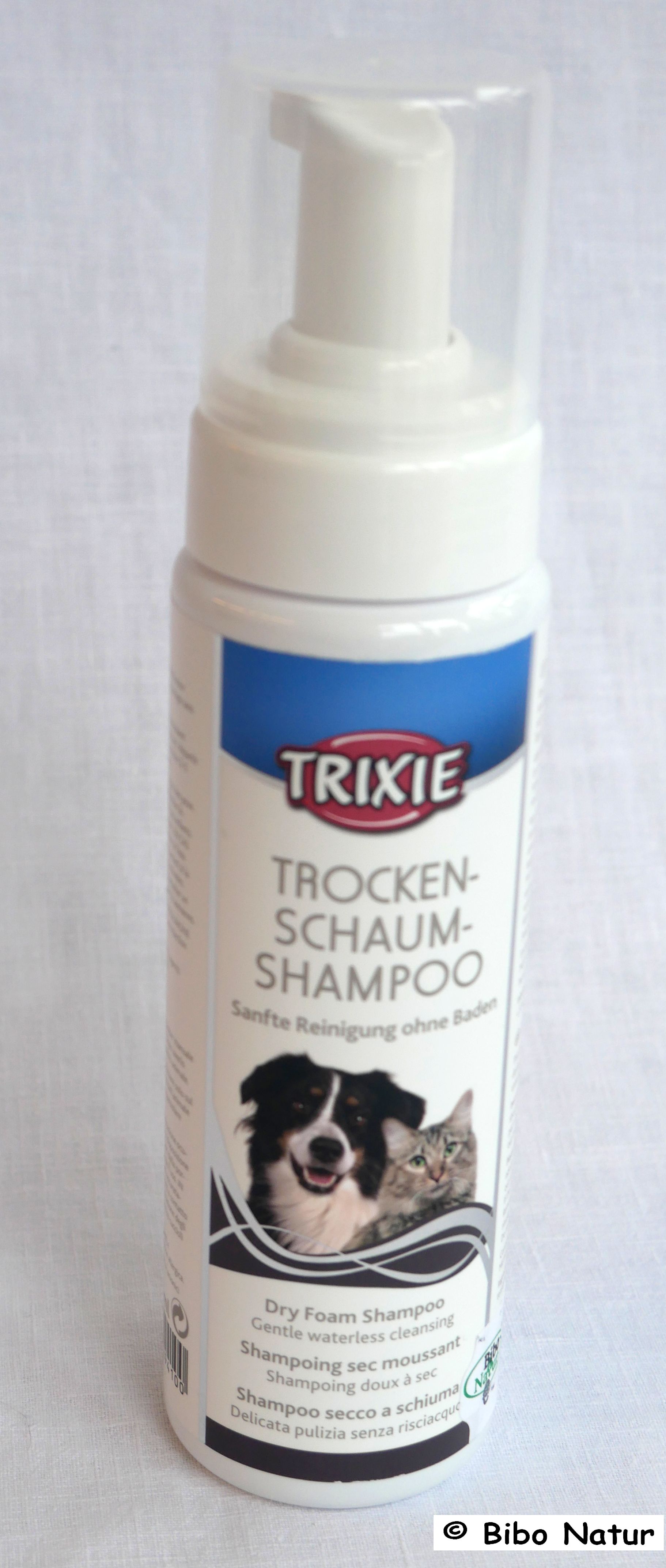 Trocken Schaum Shampoo