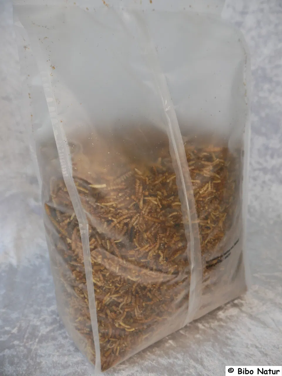 Insektenmix, Proteinplus