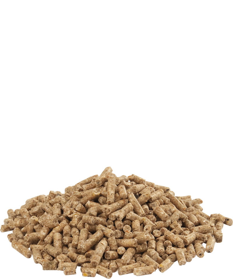 GOLD 4 GALLICO pellet